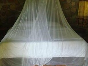 Bacoma Bungalow - Photo2