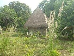 Bacoma Bungalow - Photo3