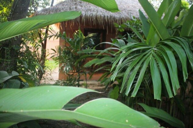 Botanica Guesthouse - Photo2
