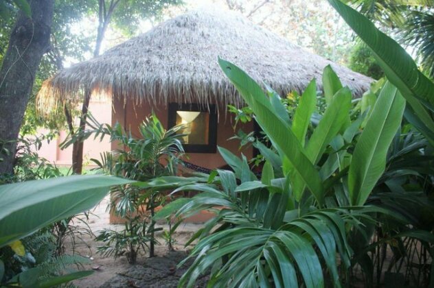 Botanica Guesthouse - Photo3