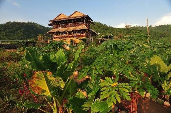The Vine Retreat - Photo3