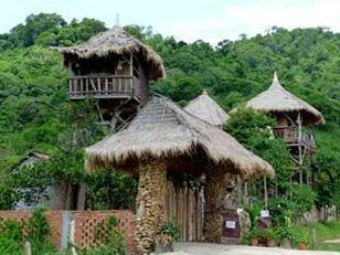 Tree Top Bungalows - Photo3