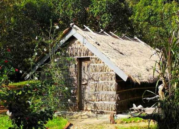 Tree Top Bungalows - Photo5