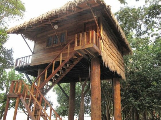 Tree House Bungalow