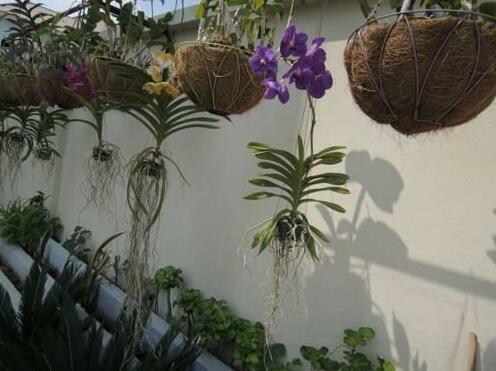 Baitorng Sen Sok Guesthouse - Photo5