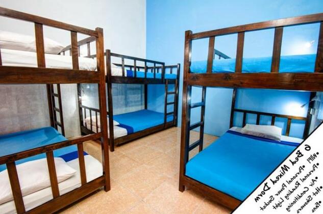 Eighty8 Backpackers Hostel - Photo5