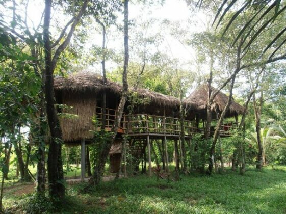 Neptune Adventure - Tatai River Bungalows - Photo4