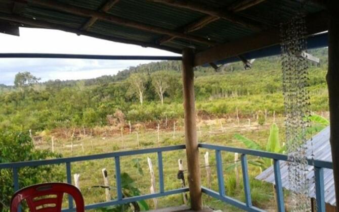 Sarika Homestay - Photo5