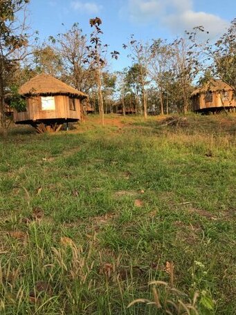 Gibbon Lodge - Photo4