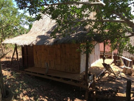 Tree Lodge Sen Monorom - Photo4
