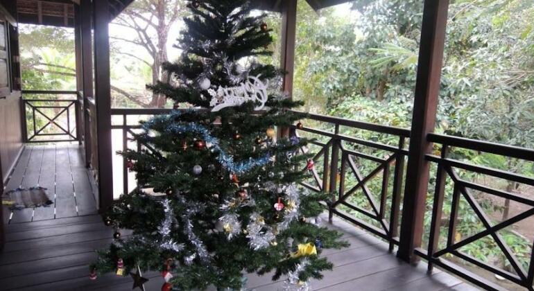 Channa's Angkor Homestay - Photo4