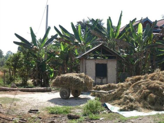 Damrei Chlorng Homestay - Photo2