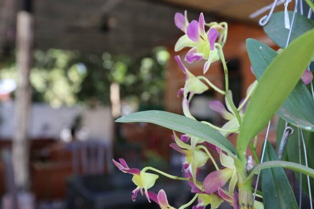 Homestay - Eco-Home - Photo3