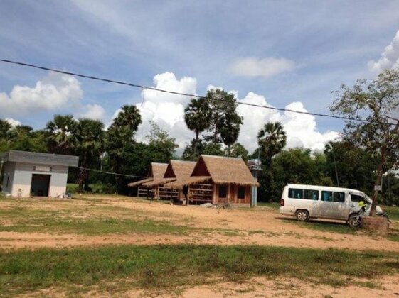 Papaya - Photo5