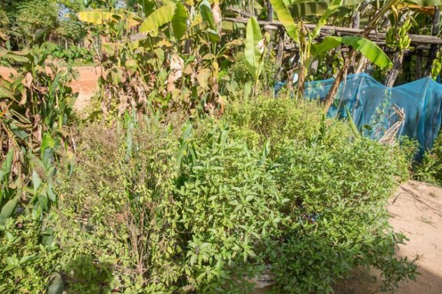 Prithy & Mutta Community Homestay Chansor 3 - Photo4