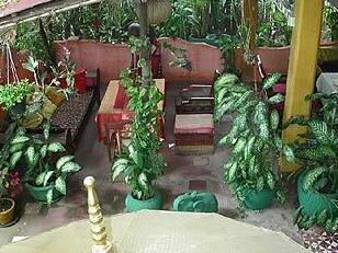 Secrets Of Elephants Inn - Photo2