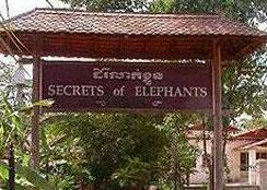 Secrets Of Elephants Inn