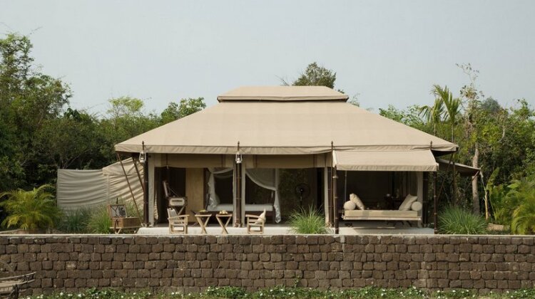 The Beige - Photo4