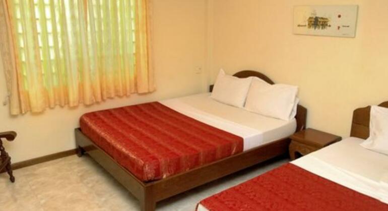 The Dancing Frog Hostel - Photo4
