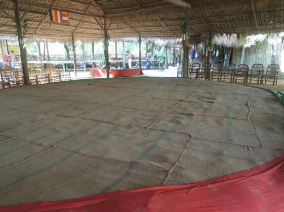 To Tea Homestay - Photo4