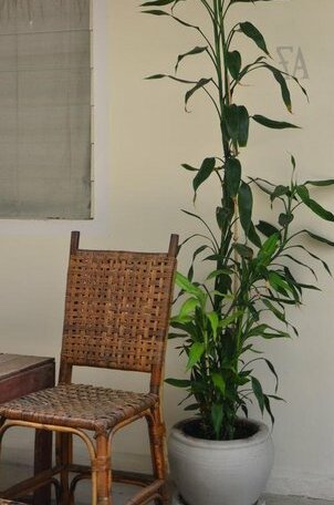 Chochi Garden - Photo3