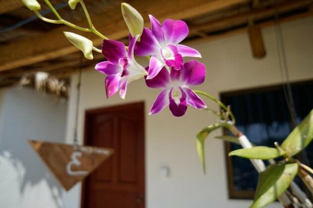 Whitemoon Bungalows - Photo3
