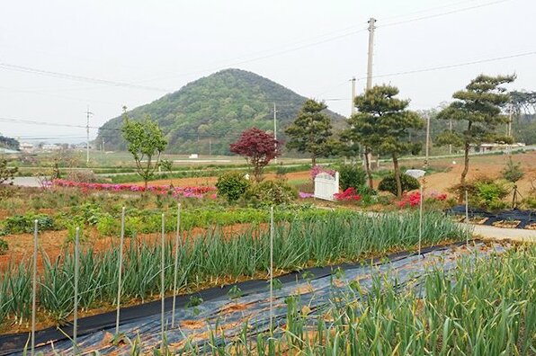 Boryeong Chanceho fish Pension