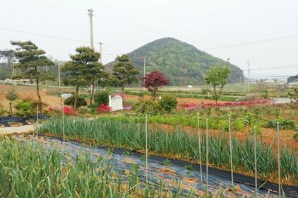 Boryeong Chanceho fish Pension