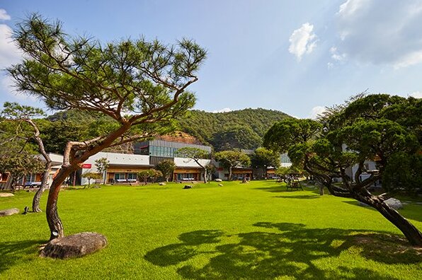 Cheongwon Okhwa Yonso Place Pension - Photo2