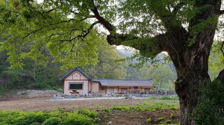 Moonlight House Cheongsong - Photo2