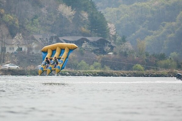 Gapyeong wild flower pension - Photo5