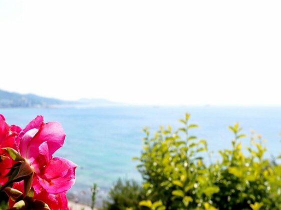 Gangneung Paragon Pension - Photo5