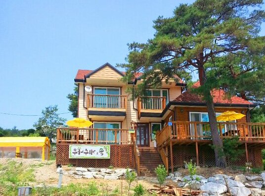 Gangneung Pine & Cinnamon Tree Pension - Photo2