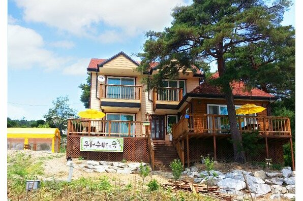 Gangneung Pine & Cinnamon Tree Pension - Photo3
