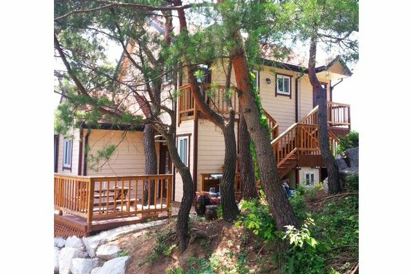 Gangneung Pine & Cinnamon Tree Pension - Photo5