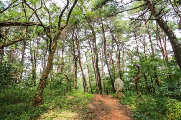 Gangneung Scent of Earth and Pine Pension - Photo3
