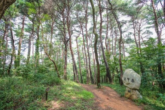 Gangneung Scent of Earth and Pine Pension - Photo5