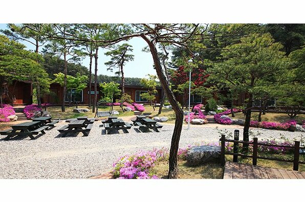 Gangneung Way to Gyeongpodae Pension - Photo2