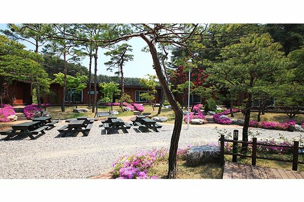 Gangneung Way to Gyeongpodae Pension - Photo2