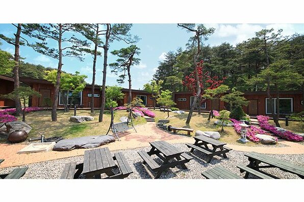 Gangneung Way to Gyeongpodae Pension - Photo3