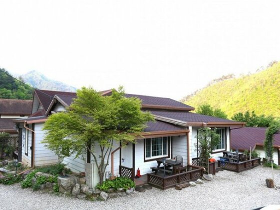 Greenville Pension Gangneung - Photo5