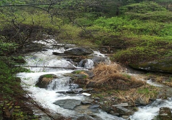 Gapyeong Aritaun Pension - Photo3