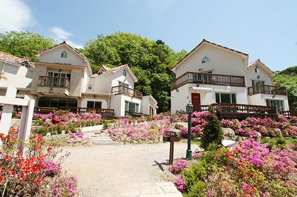 GaPyeong Art Lu Pension - Photo3