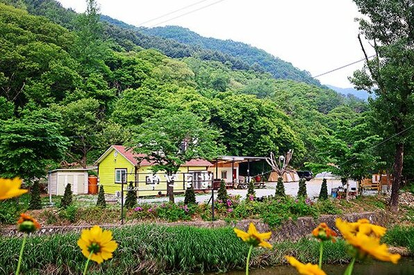 Gapyeong Bamgol Pension - Photo5