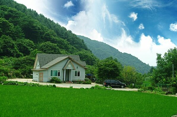 Gapyeong Ice Valley Pension - Photo4