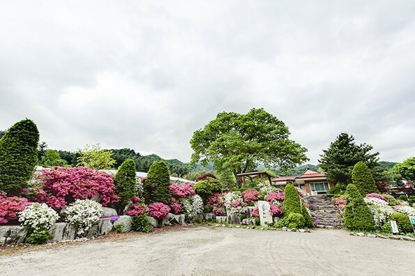 Gapyeong Kkothyanggi-neun Pension - Photo2