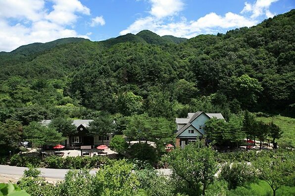 Gapyeong Pine Fragrance Pension - Photo4