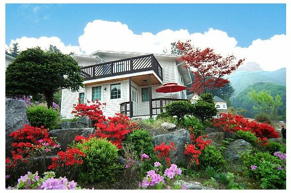 GaPyeong Pine Hill Pension - Photo3