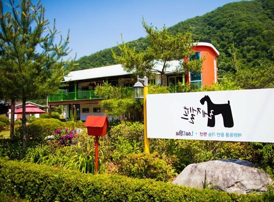 Gapyeong Rejelpeu pension - Photo2