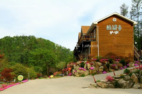 Ongdalsam Pension - Photo5